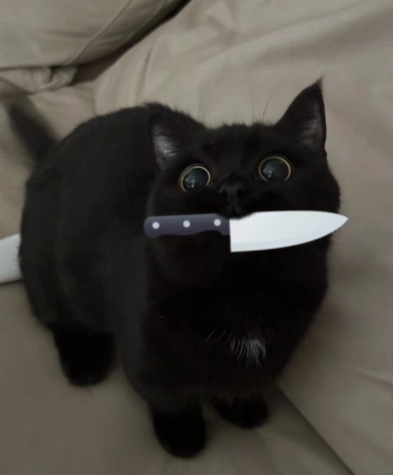 This is me so when you&rsquo;re being mean to me just know this is who you&rsquo;re being mean to. https://t.co/<a href="/tag/mvsales"class="tags"><span>#mvsales</span></a>