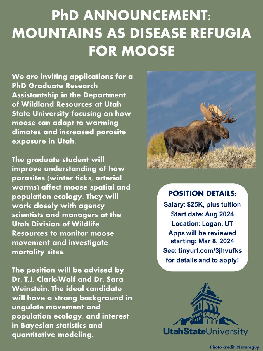 📯📯COME JOIN MY LAB📯📯
I am recruiting a PhD student to lead research on understanding how warming climates and parasites affect moose movement and population ecology in Utah (Based at <a href="/QCNRUSU/">QCNR at USU</a> in collaboration with <a href="/UtahDWR/">UtahDWR</a>). Please share with others if you can!