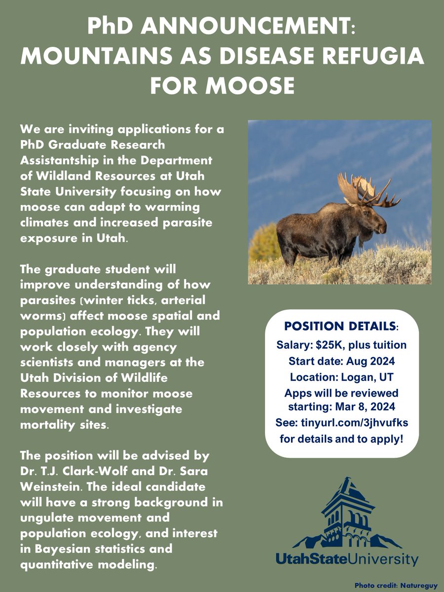 📯📯COME JOIN MY LAB📯📯 I am recruiting a PhD student to lead research on understanding how warming climates and parasites affect moose movement and population ecology in Utah (Based at @QCNRUSU in collaboration with @UtahDWR). Please share with others if you can!