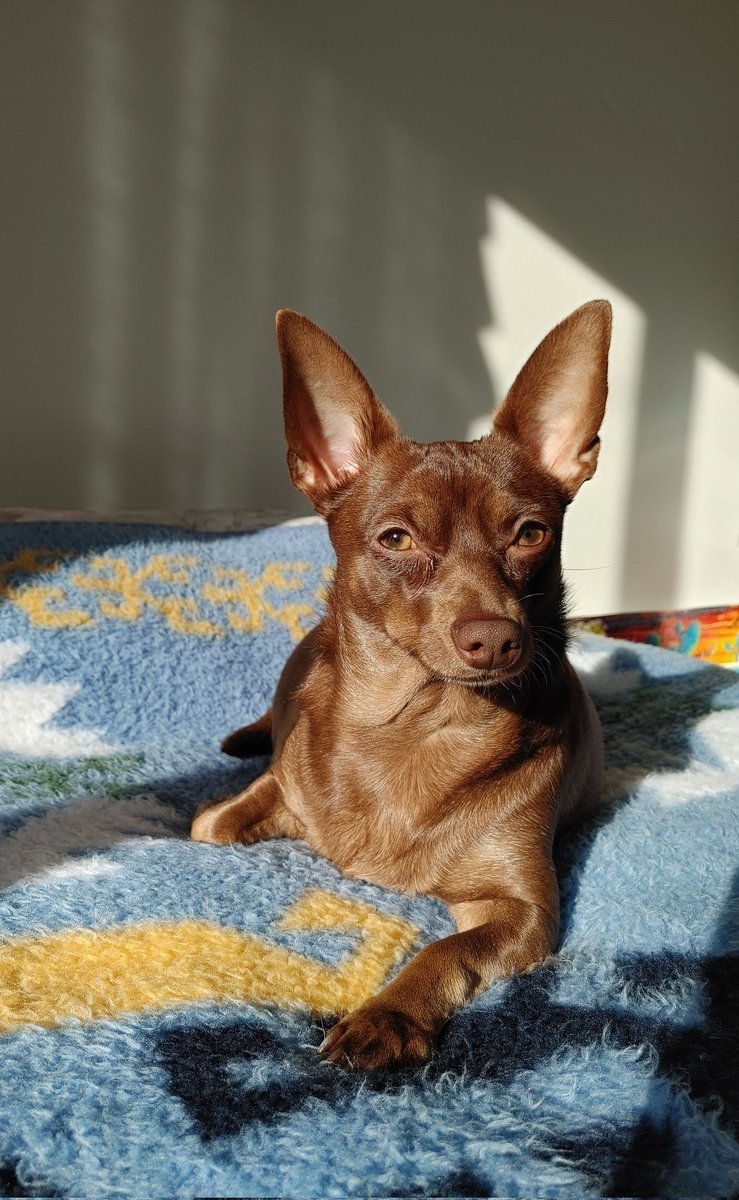 Lily found the Sunshine🌞