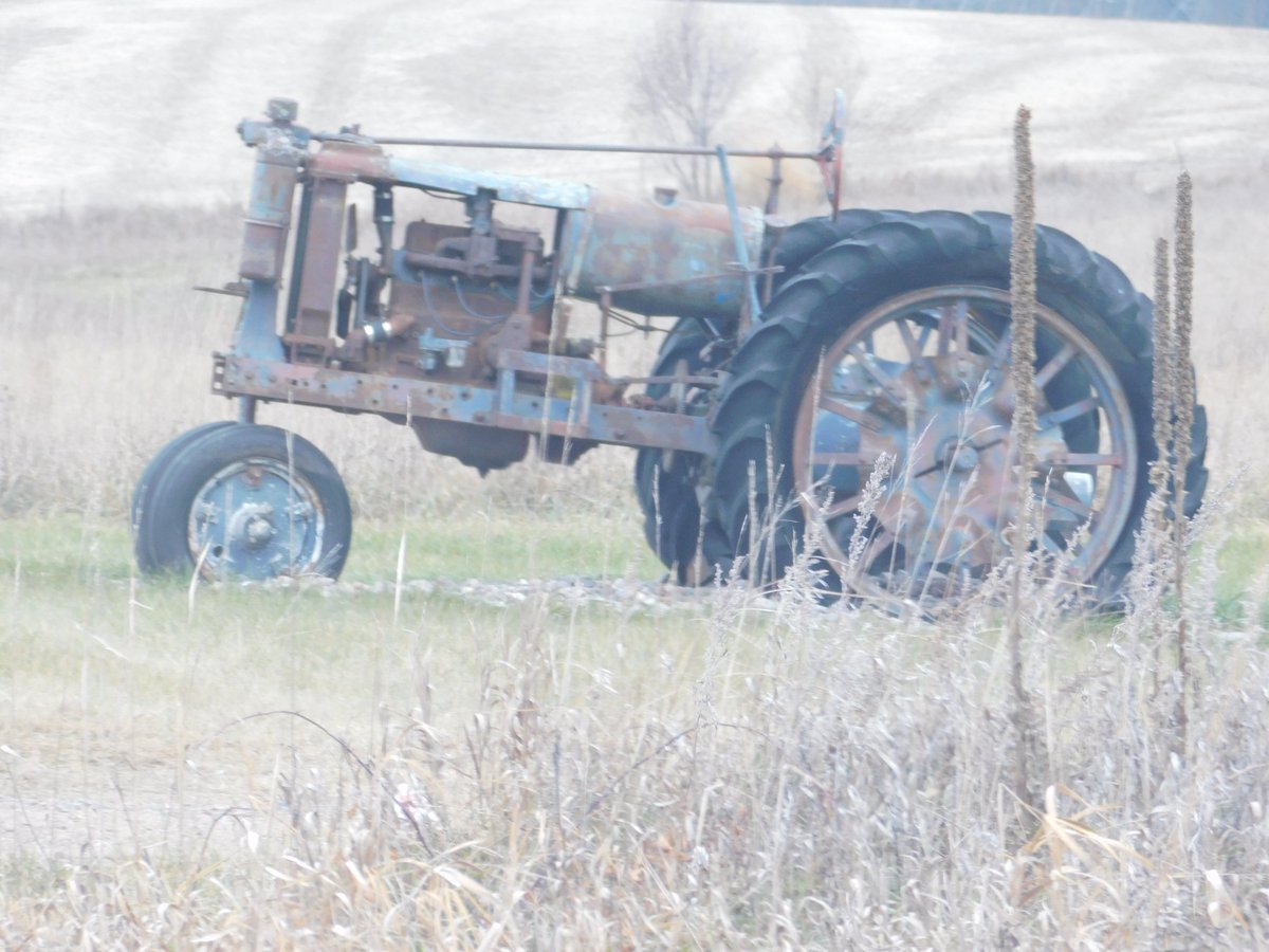 This is an old farm tractor in a yard
