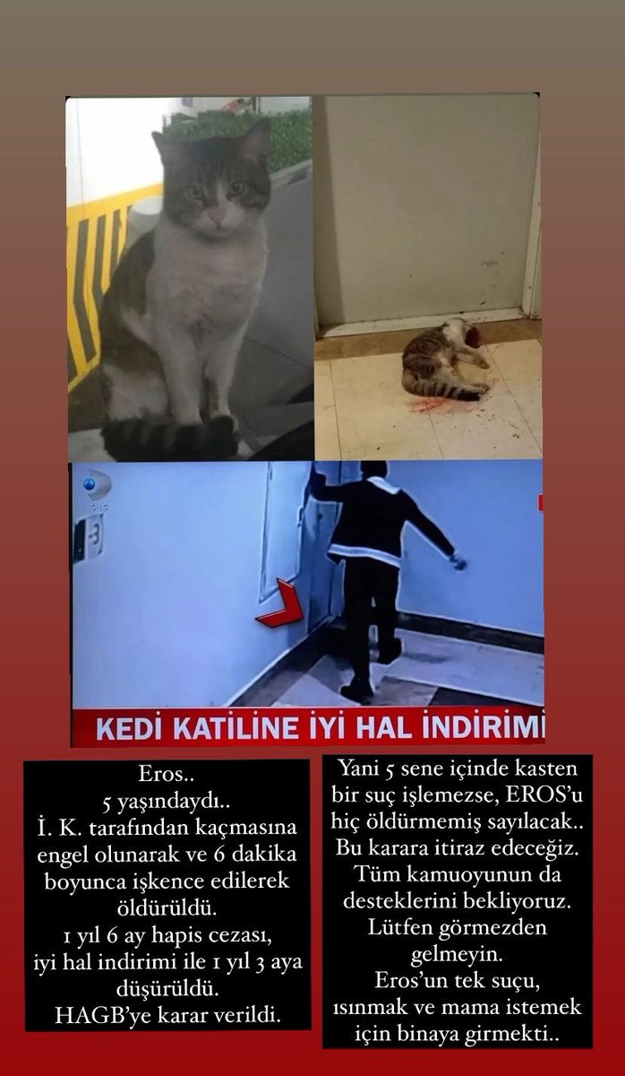 pinhaan1's tweet photo. #ibrahimkeloğlantutuklansin https://t.co/lU37FIo95x