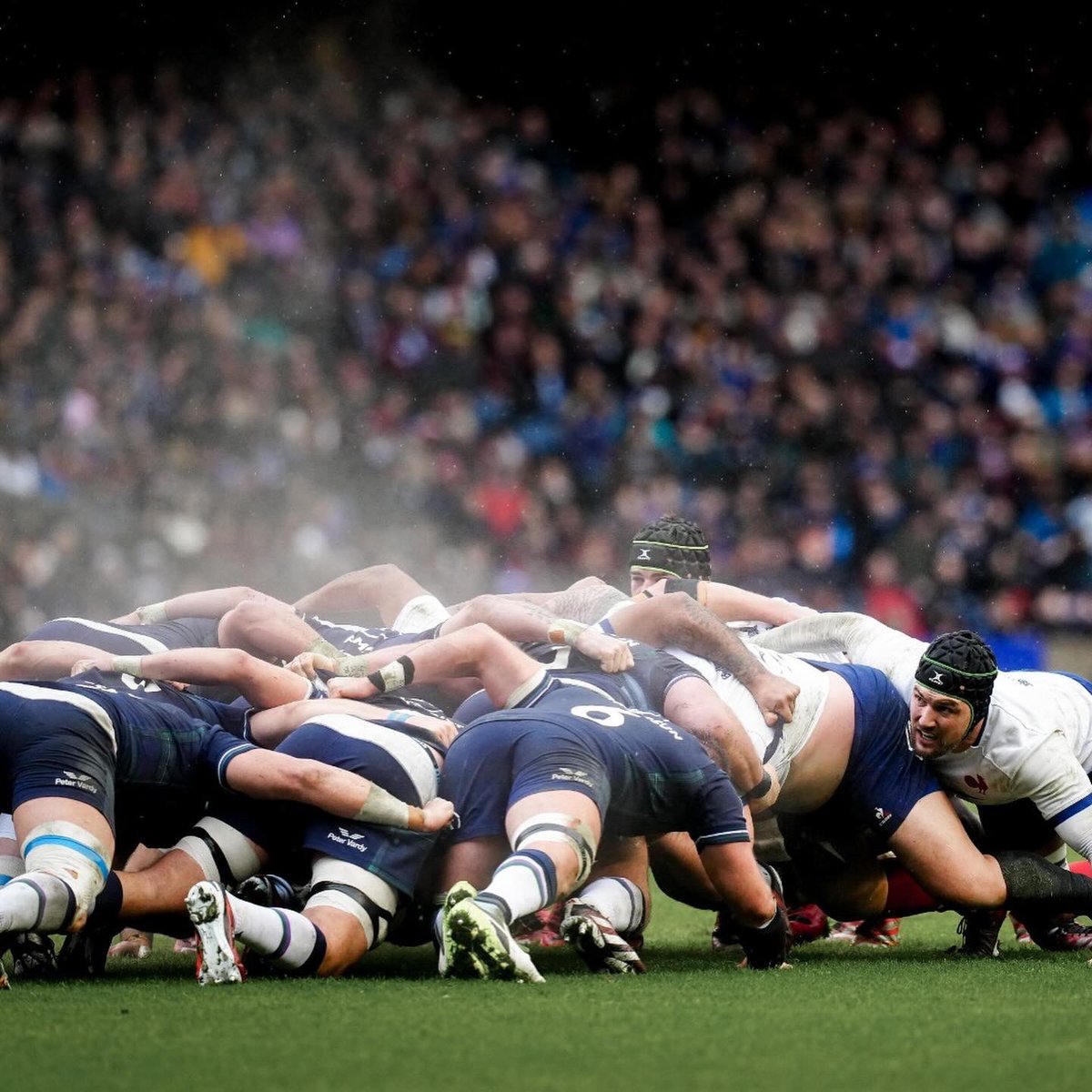 WilliamServat's tweet photo. Les matchs où le combat vous mène à la victoire ont toujours une saveur particulière. Bravo les gars ! 

📸 @julienpoupart1 #caractère #étatdesprit #équipe #xvdefrance https://t.co/eLSwx6XkMt