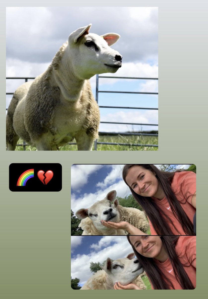 Miss Henery tweet media