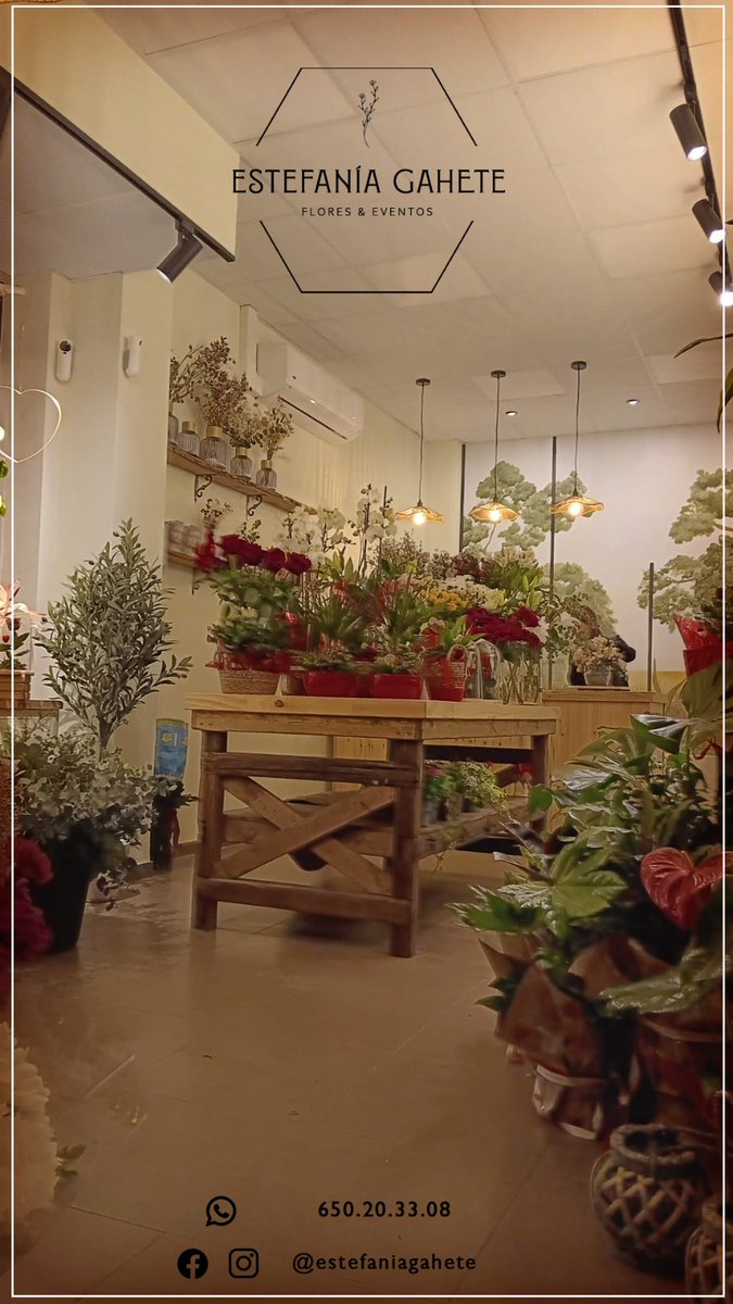 jtorres_rojas's tweet photo. Os presento nuestra nueva floristeria. Para cualquier cosa que necesiteis no dudeis en contactar con nosotros en el 650.20.33.08 o en nuestra tienda física en C/ Maestro Gómez Zarzuela n. 6. Sevilla

Os esperamos https://t.co/JLbfqjP35r