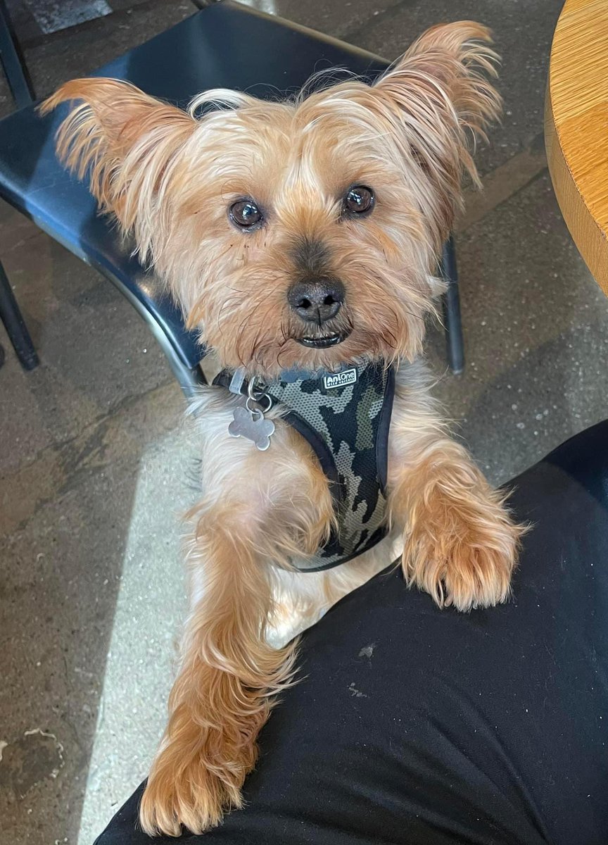 Deirdre Wynter tweet media