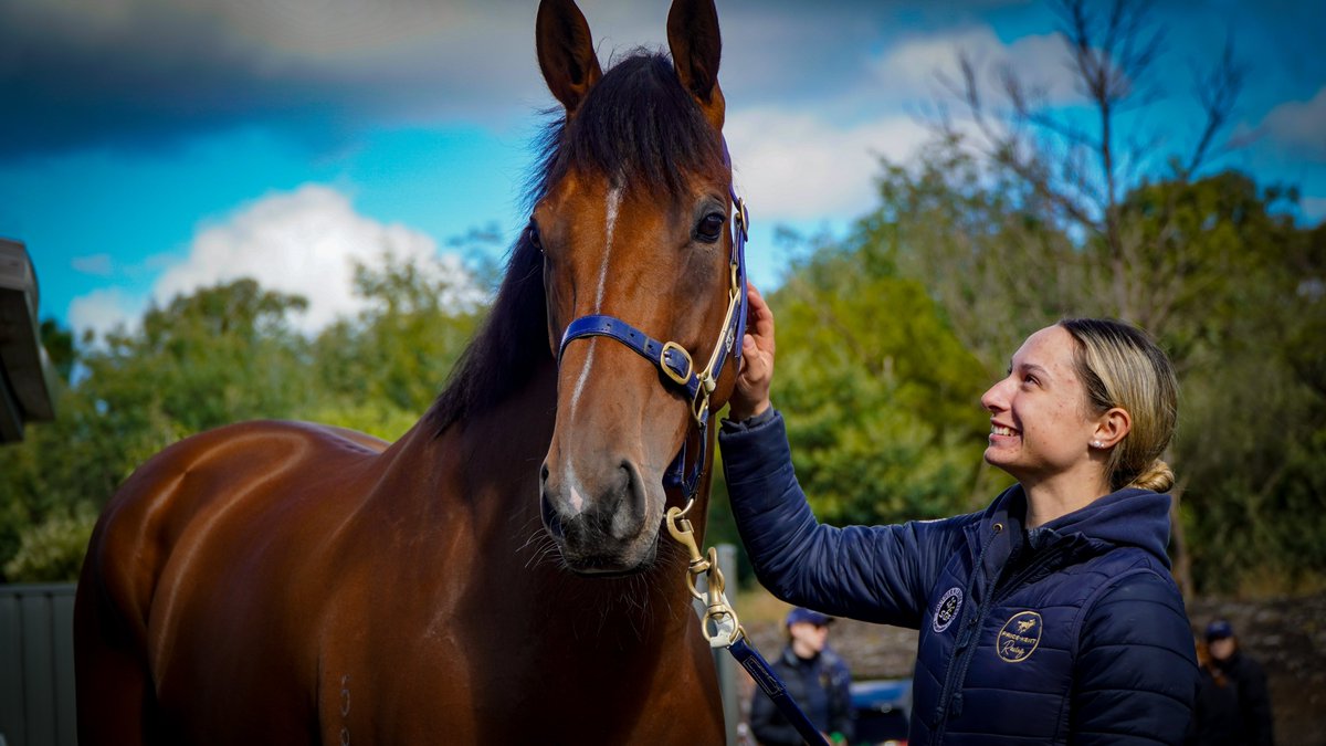 Southside Racing tweet media