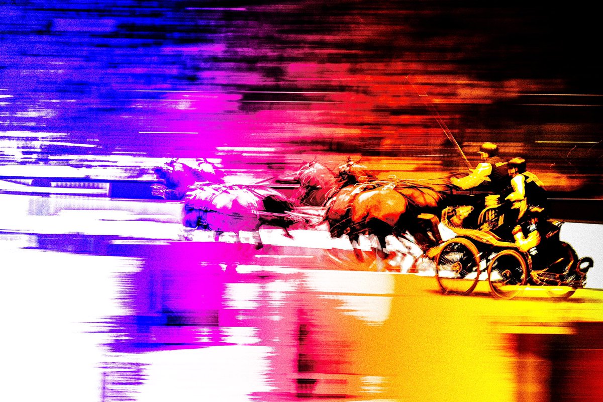 J’ai pris des chevaux en photos ils courent vite de fou nan ? Pas vrai ?? Ouhou