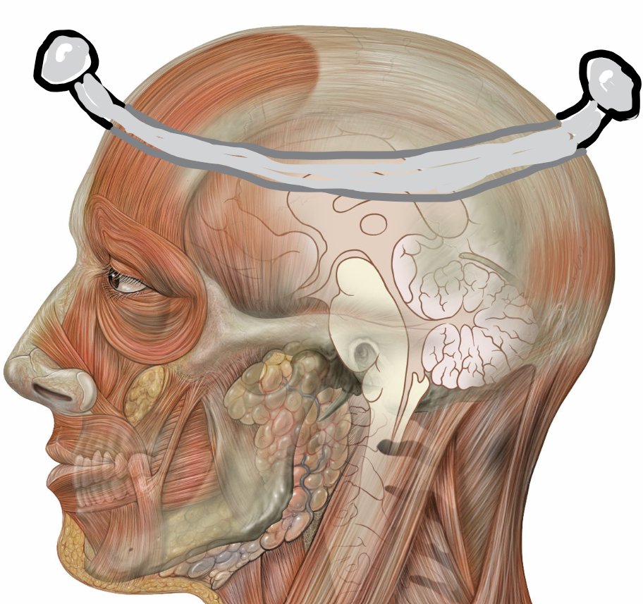 cleaming_'s tweet photo. just had a cool idea for a new type of piercing https://t.co/hqY2VuvBCY