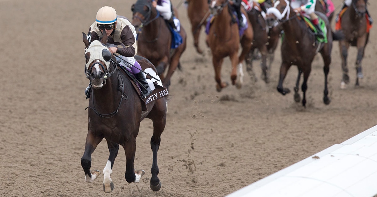 CanadianTbred's tweet photo. Mighty Heart, Two-Time Horse of the Year, Back at the Track
Now gelded, the 2020 Queen's Plate and Prince of Wales hero is training at Turfway Park in Kentucky with Jonathan Thomas. #MightyHeart #horseracing #racehorses #outofretirement
https://t.co/GYSbfQqDCm https://t.co/mnHuwcJhXq