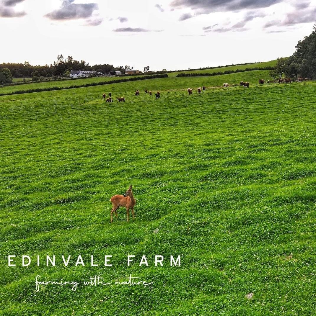 Macbeths Butchers 🔪🥩 tweet media