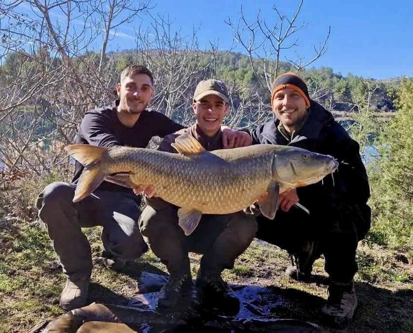 ruideratreasure's tweet photo. 📣 PESCA 🎣 El pasado 3 de febrero, en las Lagunas de Ruidera, Jorge Celestino, Félix Barcience y David Medina pescaron un enorme barbo comizo de 14 kg 🎣
#lagunasderuidera #pesca #fishing #barbo #barbelfishing #barbocomizo @CMM_noticias @PNLagRuidera @AgriculturaClm @wikiCR https://t.co/OfqxglEzl2