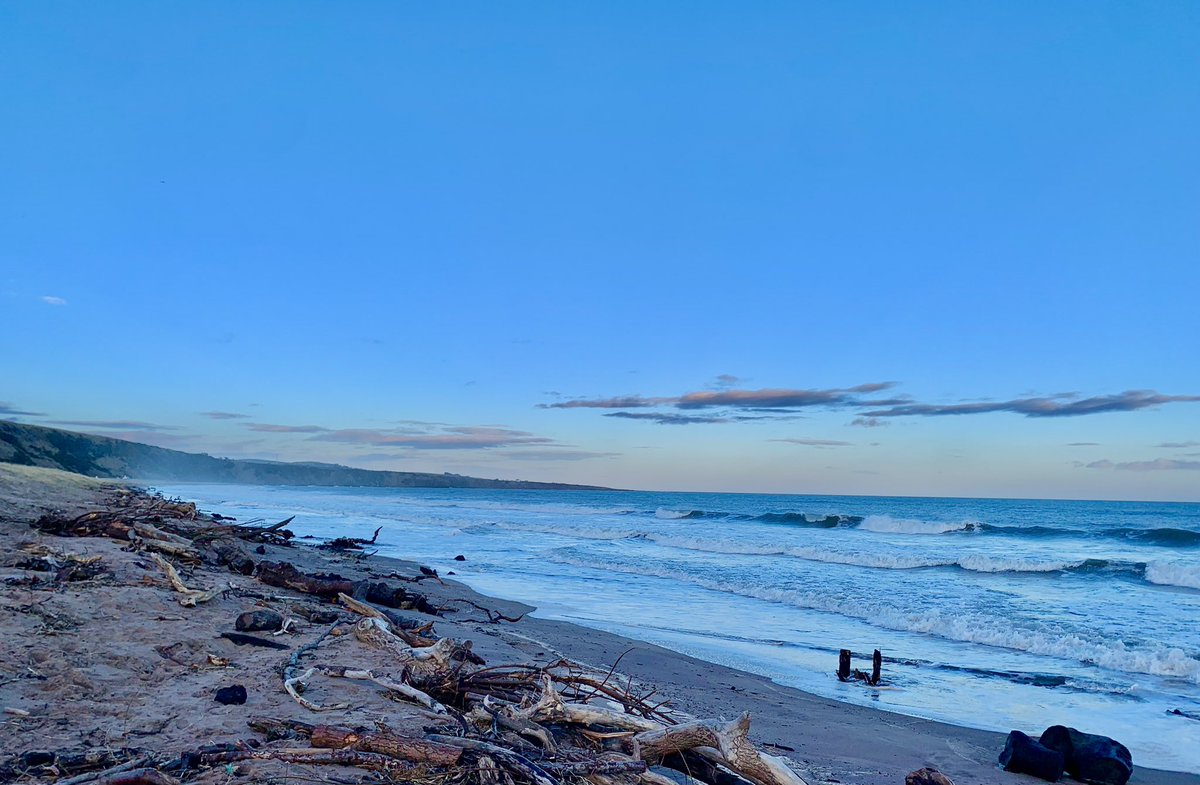 DrHelenOram's tweet photo. Loads of tree sized debris on the beach at #StCyrus after the weekends’ storm https://t.co/mqFrJV2Wlu