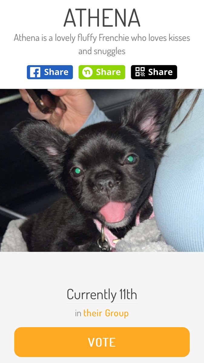 americasfavpet.com/2024/athena-7c…

Any vote is appreciated thanks