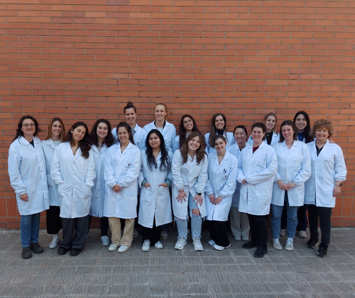 A picture of the women of our research group. Great team! 👩‍🔬 11th February International Day of the Women and girls in Science.