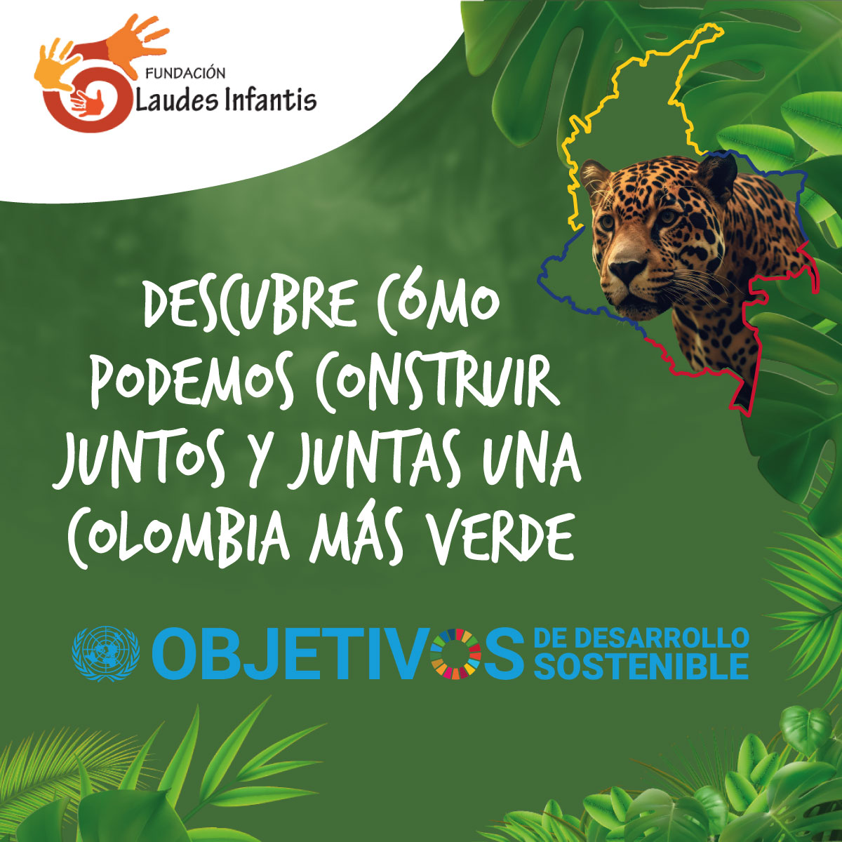 FLaudesInfantis's tweet photo. 🌱 ¡Actívate por una Colombia verde! 
En la Fundación Laudes Infantis estamos comprometidos con los #ObjetivosDeDesarrolloSostenible

#ODS6  #agualimpia 💧  
#ODS13 #AcciónClimática 🌞  
#ODS15 #VidaEcosistemasTerrestres 🐾 

¡Únete a nuestra campaña ambiental! 
#TruequeAmbiental https://t.co/PYsBz9QRqg