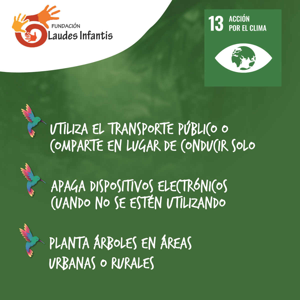 FLaudesInfantis's tweet photo. 🌱 ¡Actívate por una Colombia verde! 
En la Fundación Laudes Infantis estamos comprometidos con los #ObjetivosDeDesarrolloSostenible

#ODS6  #agualimpia 💧  
#ODS13 #AcciónClimática 🌞  
#ODS15 #VidaEcosistemasTerrestres 🐾 

¡Únete a nuestra campaña ambiental! 
#TruequeAmbiental https://t.co/PYsBz9QRqg