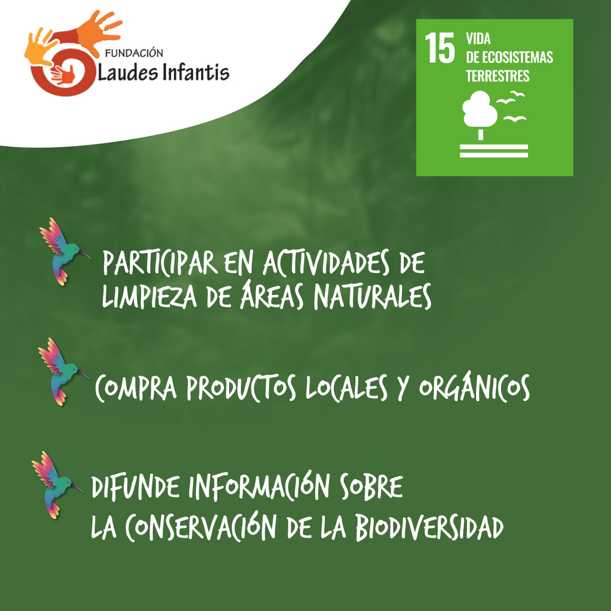 🌱 ¡Actívate por una Colombia verde! 
En la Fundación Laudes Infantis estamos comprometidos con los #ObjetivosDeDesarrolloSostenible

#ODS6  #agualimpia 💧  
#ODS13 #AcciónClimática 🌞  
#ODS15 #VidaEcosistemasTerrestres 🐾 

¡Únete a nuestra campaña ambiental! 
#TruequeAmbiental