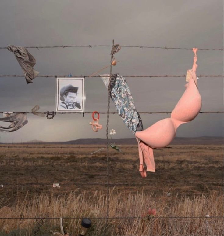 romy_oceanblvd's tweet photo. Oh lasso the album you are going to be ! https://t.co/RQgYsORr9X