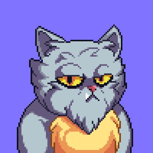 Molly Match tweet media