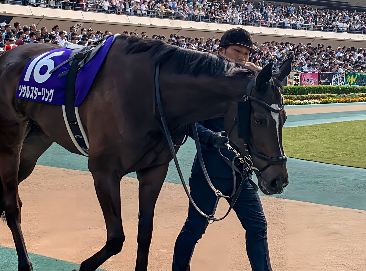 ソウルスターリング