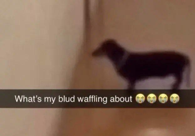 Guardy__ tweet media