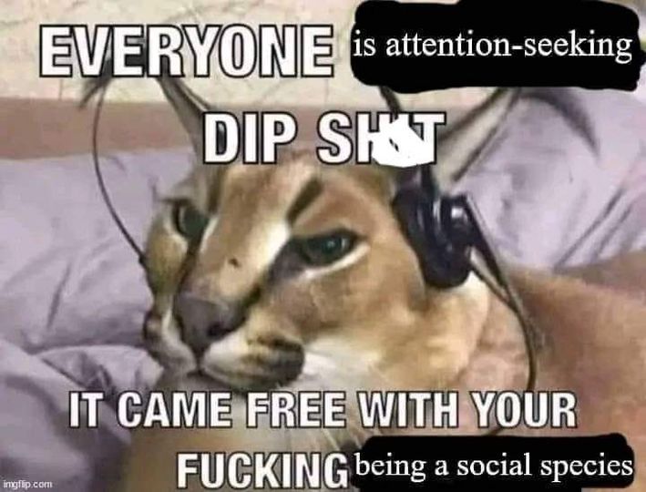 Orwell & Goode (@orwellngoode) on Twitter photo 