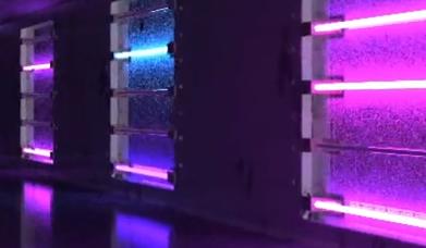 Neon Queens tweet media