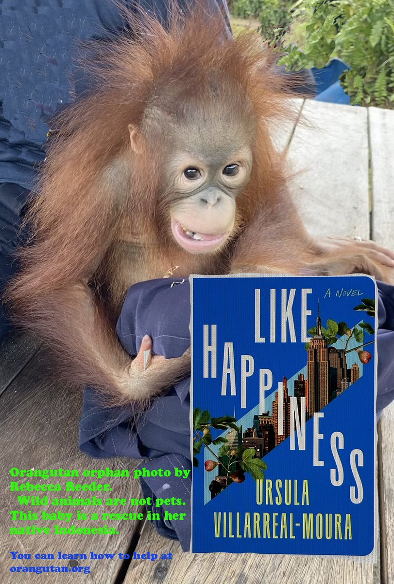 #LikeHappiness is an emotional coming-of-age novel about a Latina college girl and the famous author she allows into her life.  When the novel opens in Chile 2015, Tatum relives the heartache when she's contacted by a journalist investigating the man who had been in her life.