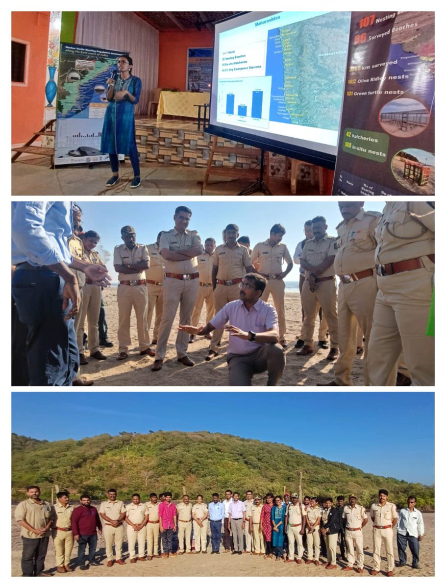 wii_india's tweet image. Turtle season! #wii #MarineTurtle team as part of the Pan India monitoring of sea turtles, trained 46 frontline forest staff on turtle nest monitoring and hatchery management at Guhagar, Ratnagiri. Thanks to @MahaForest and @MangroveForest for the support. @moefcc @vrtiwari1