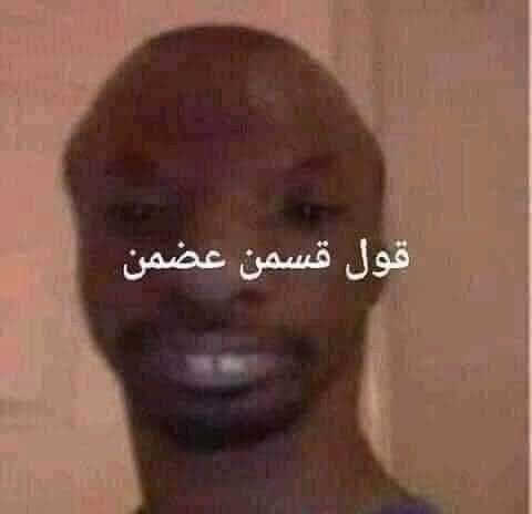 مسّهاج . tweet media