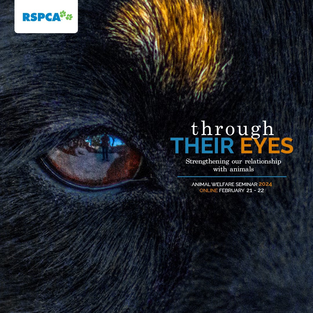 🔍 Join us online for a glimpse through the lens of life from an animal’s perspective at the '2024 #RSPCA Animal Welfare Seminar - Through their eyes: Strengthening our relationship with animals'. Click here to register for FREE: rspca.au/jxFC9T, and see you there! 🐾