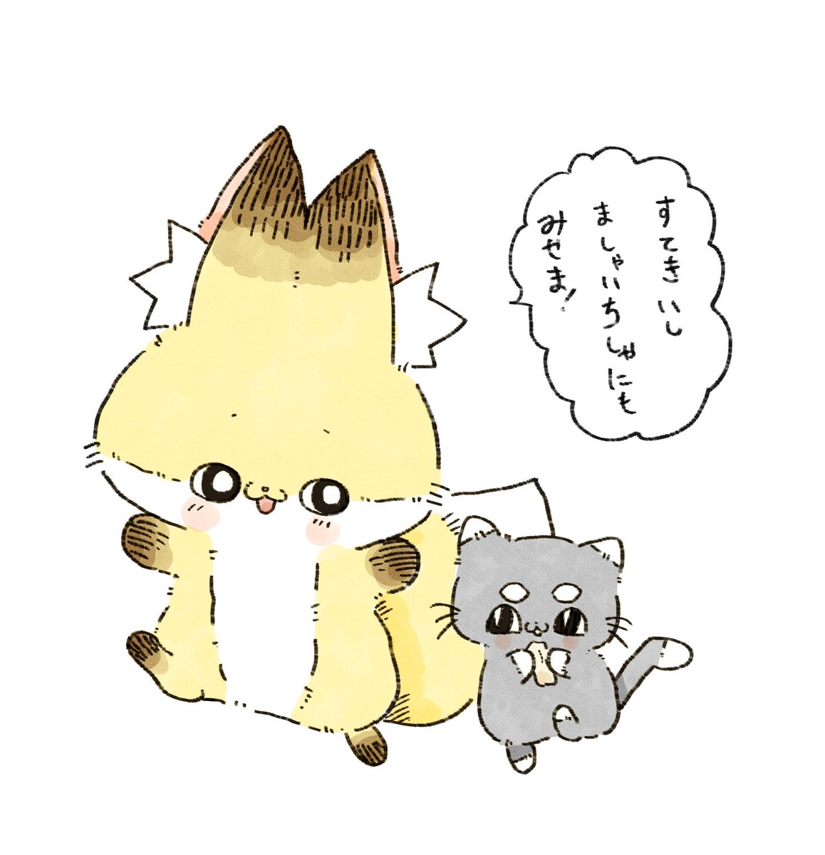 素敵なものは見せたい 
