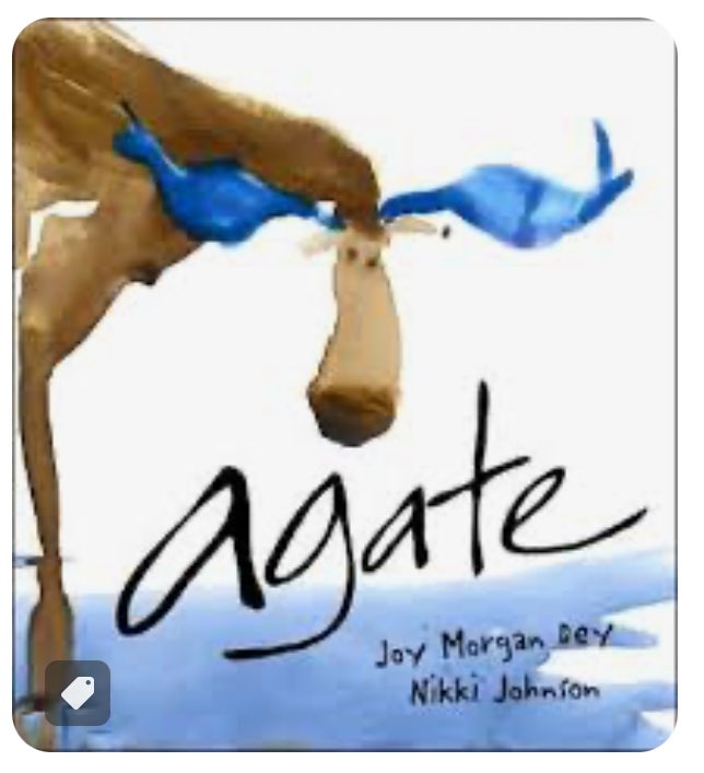 Holly Dragisich tweet media