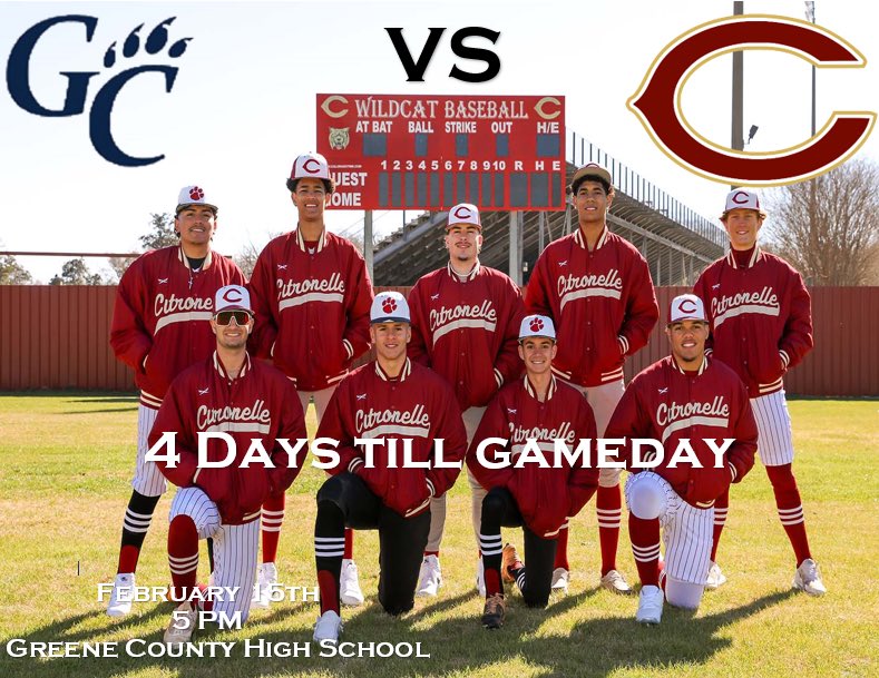 CitronelleBaseball tweet media