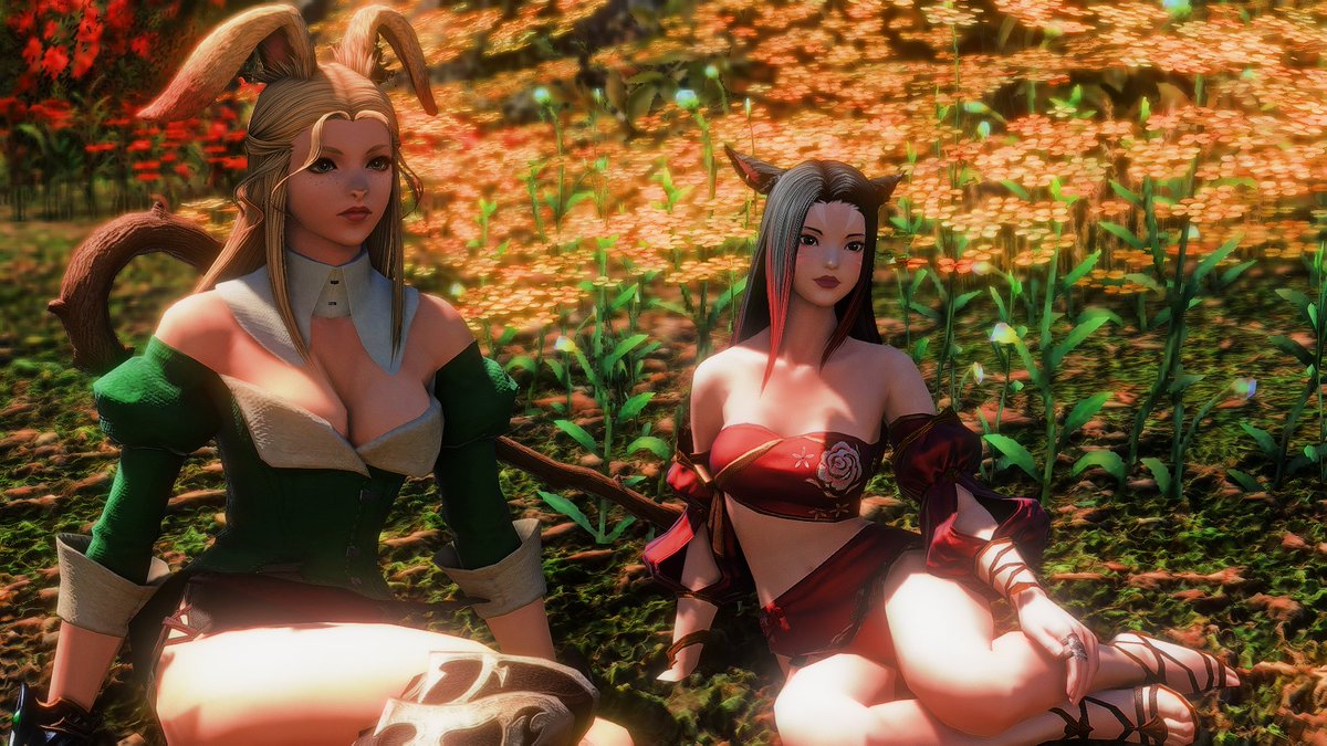 therese/freld 🐀 tweet media