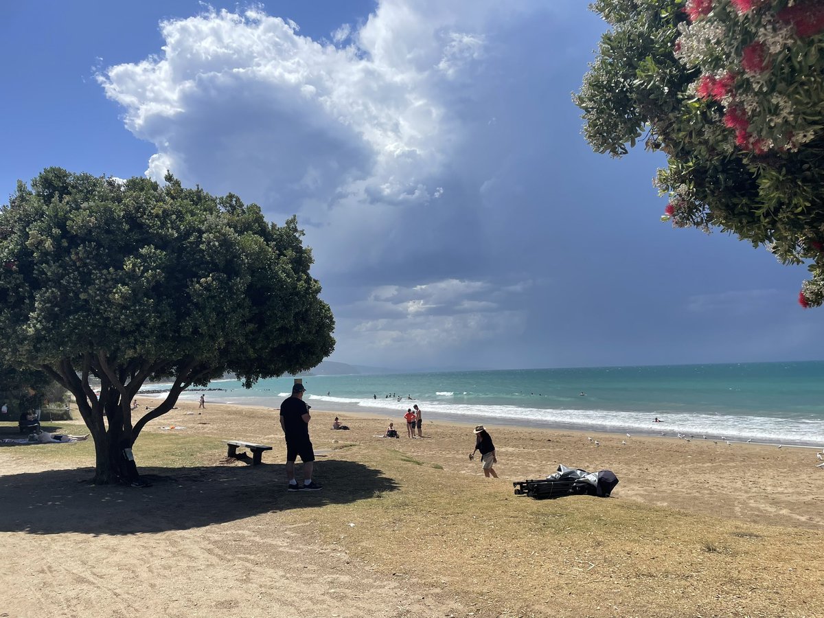 Traude Beilharz (@traude_beilharz) on Twitter photo Lorne really putting on a show for <a href="/GenomeConf/">LorneGenomeConferenc</a> 
#LorneGenome2024 Lorne really putting on a show for <a href="/GenomeConf/">LorneGenomeConferenc</a> 
#LorneGenome2024