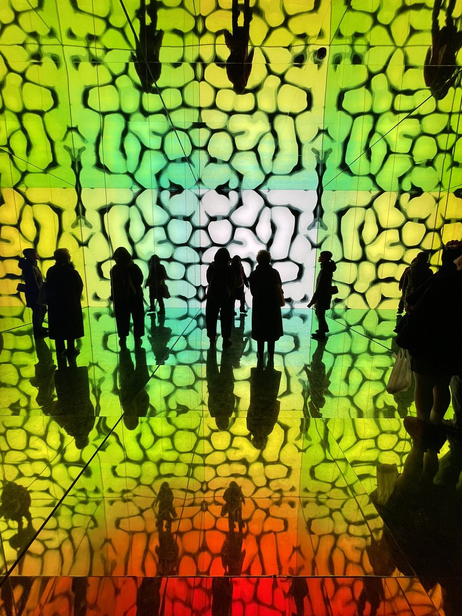 raichi0063's tweet image. バーチャルの中に放り込まれた感が凄い。手のふりに反応して映像が変化する。
#SIAF2024 
#札幌国際芸術祭2024
#IntoSight #SonyDesign
#SCARTS