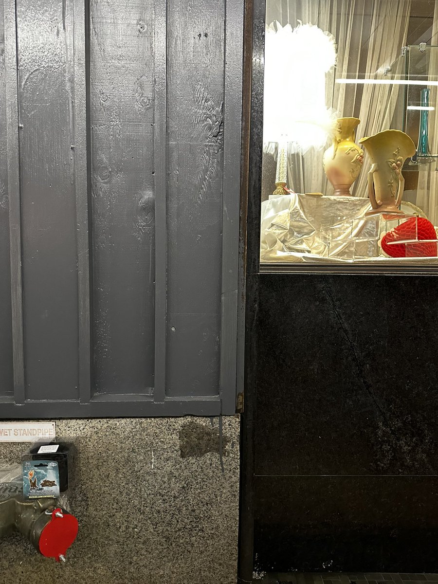 Space Monkey tweet media