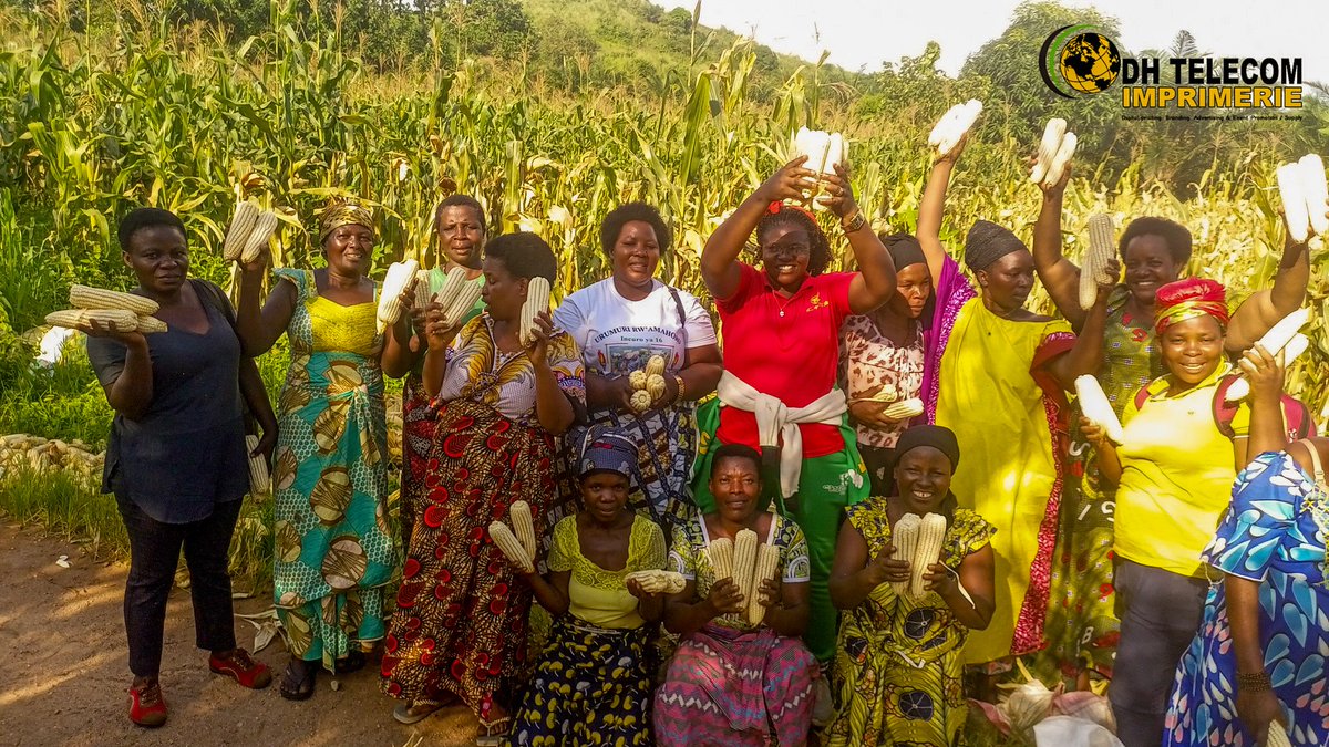 Bujacnddfdd's tweet photo. 🔴 Bubanza: 🔴 Kuri uyu wa 12Ruhuhuma2024, Abakenyererarugamba baserukira abandi ,mu makomine no mu mazone yagutse ya #Bubanza na #Mpanda,bakaba bahurikiye muri koperative, bari baramutse basarura umurima w'ibigori barimye ku mutumba wa #Rugunga.
@CnddFdd https://t.co/lDkJRfGKfK