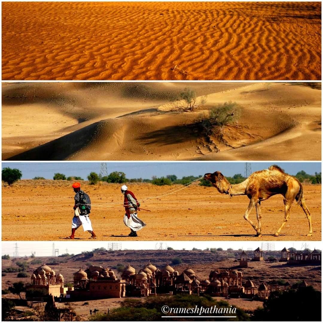 Every Desert has a charm of its own. Few desertscapes for people who love to spend time in winters at deserts. Around Jaisalmer #desert #sanddunes #camels  #Rajasthan #Rajputana #photography #panorama #incredibleIndia #tourism #life #wanderer #culture #heritage