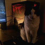Photo by RetroBitPixel (@RetroBitPixel)