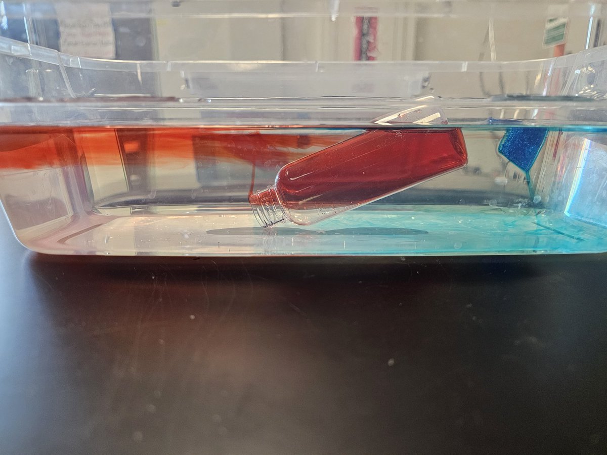 villa_sci's tweet image. I love how pretty this convection lab turned out 😊

#SamSide #HeatTransfer #Convection #HoustonScience