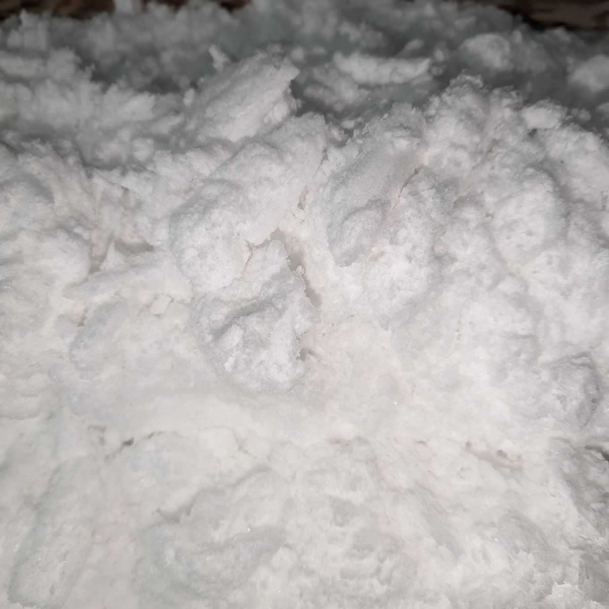 sp1365's tweet image. The first scrape after a flood is always disgusting, so much crud comes up.

Quite a few hours and plenty of pebbling/scraping later, you can see the difference in the color of the snow that comes up. #curling #icetech