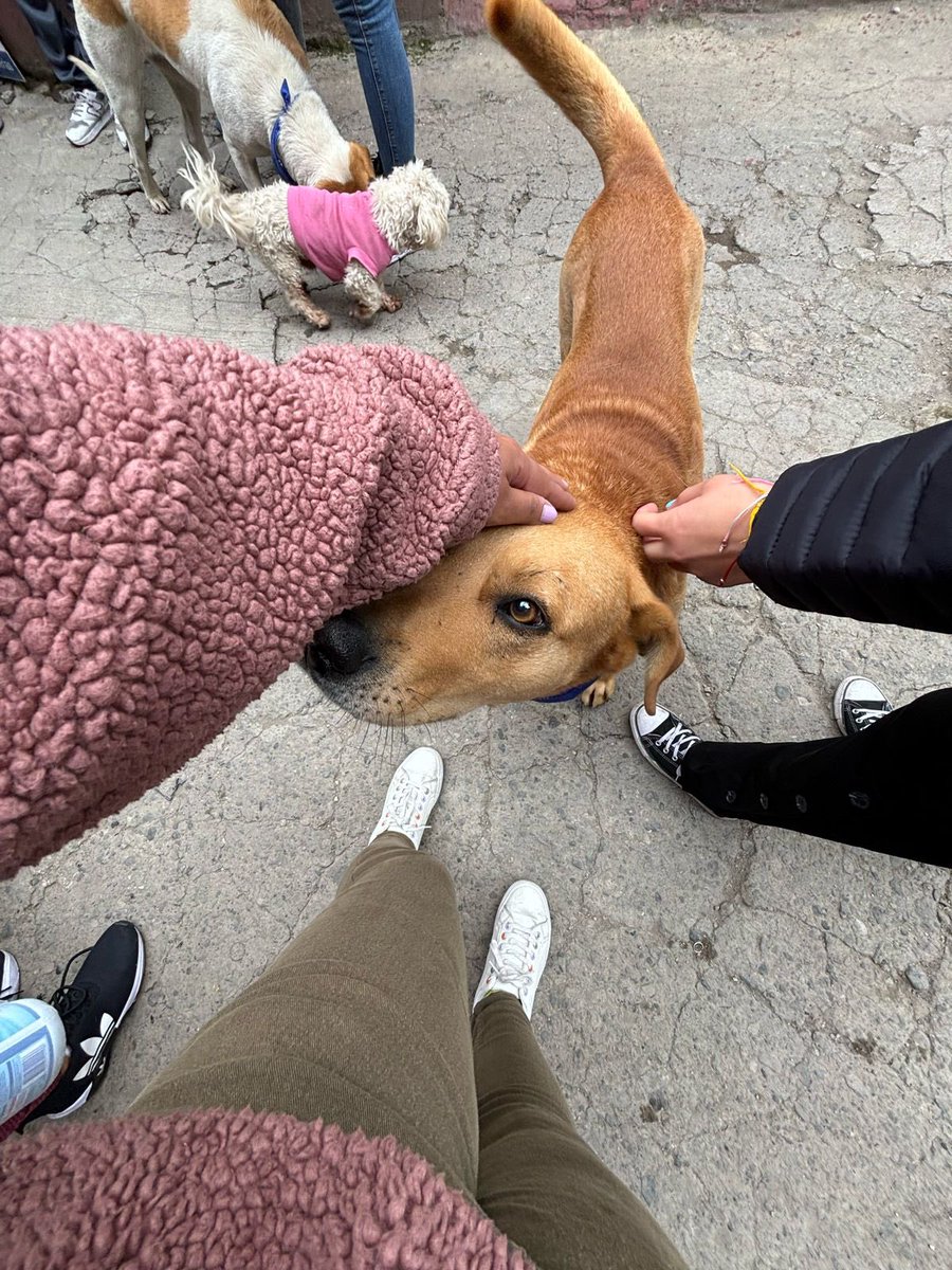 ArcaLuminosa tweet media