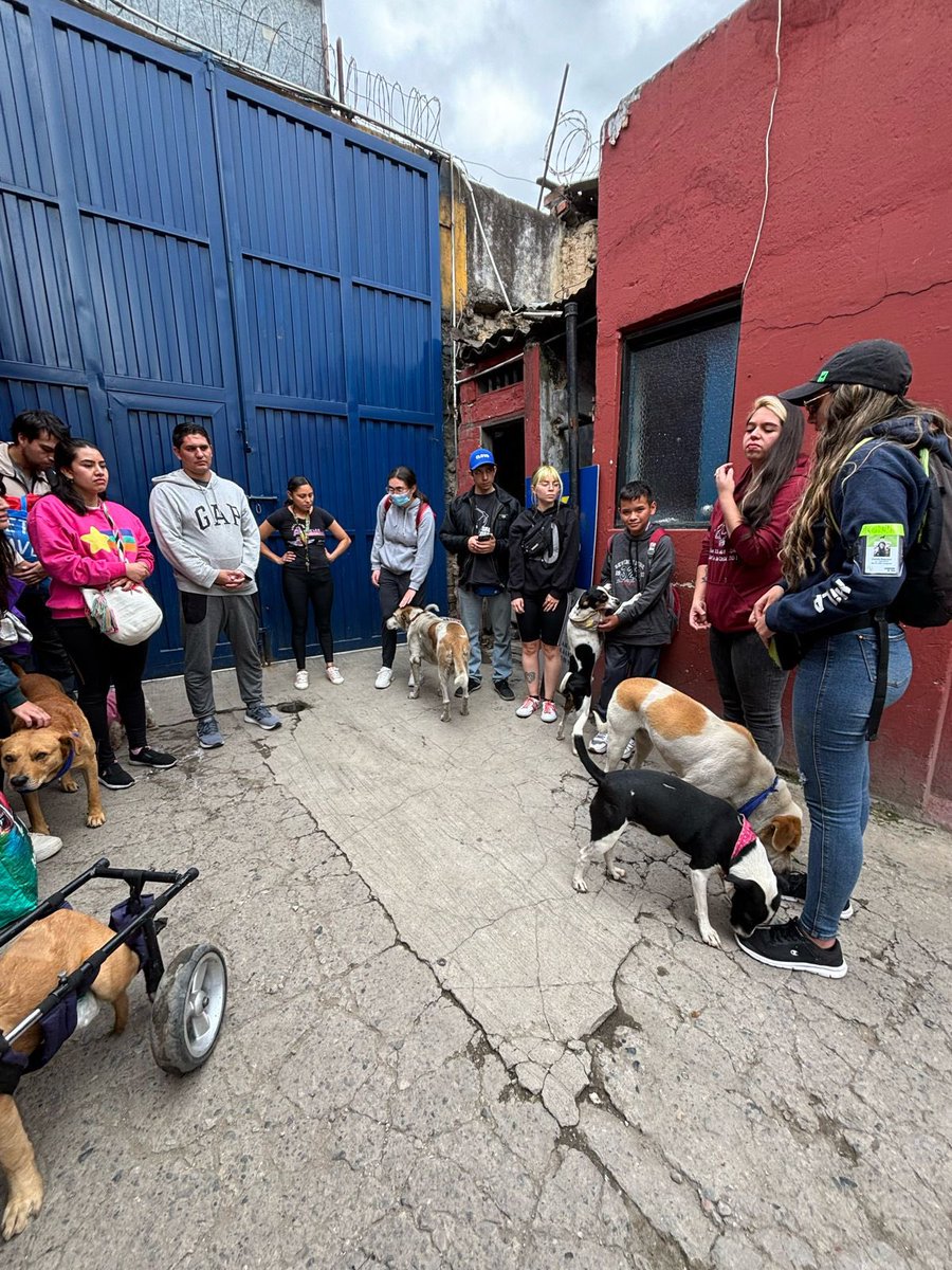 ArcaLuminosa tweet media