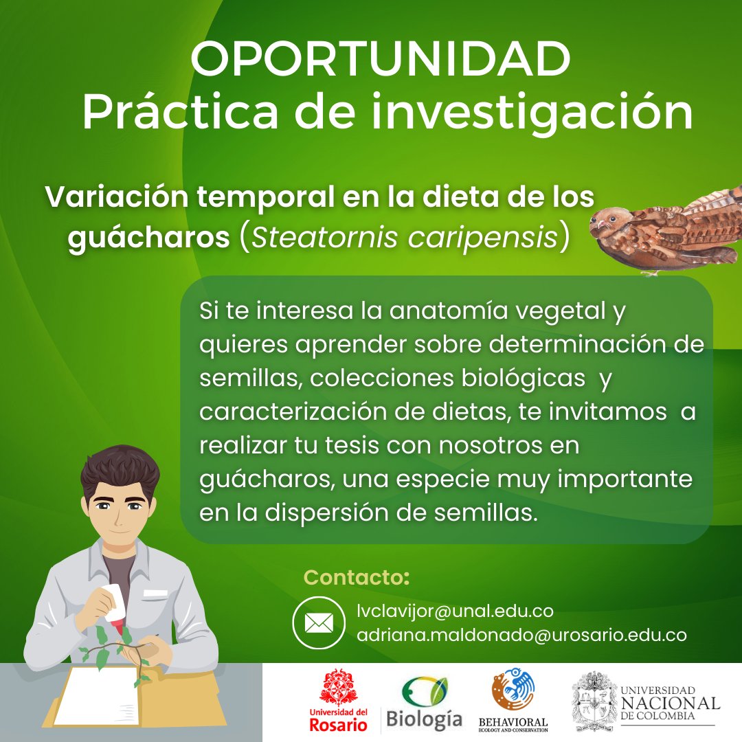 Laura Clavijo tweet media