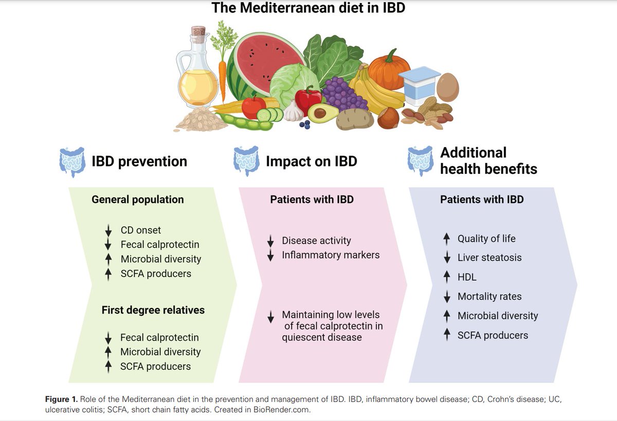 Mediterranean Diet important in #CardiovascularDisease & #MetabolicSyndrome

Why not in Inflammatory Bowel Diseases⁉️
because of:
🦠@gut #microbiota
#antiinflammatory🔥properties
🧯#OxidativeStress modulation

#MediterraneanDiet by @LGodny & @Iris_Dotan 
🥗doi.org/10.1093/jcag/g…