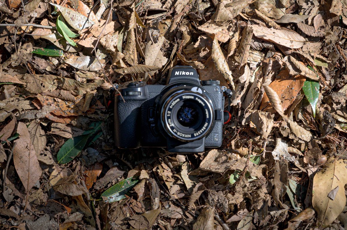 NikonZ7は正真正銘ニコン最初のフルサイズミラーレスカメラ。つまりZ 