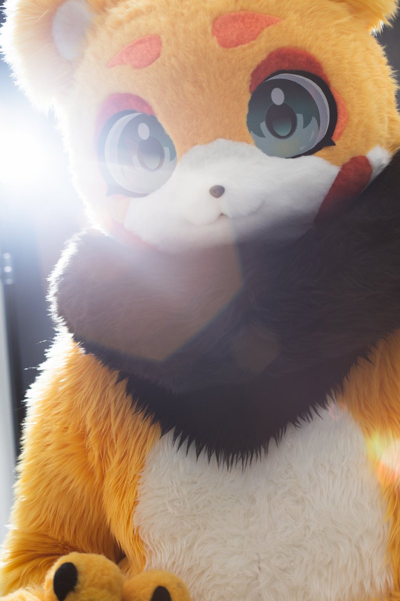 다들 모닝모닝
벌써 다음주면 퍼조에욧!

📷 <a href="/dhfhfk19/">오로라 aurora</a>
#FursuitEveryday